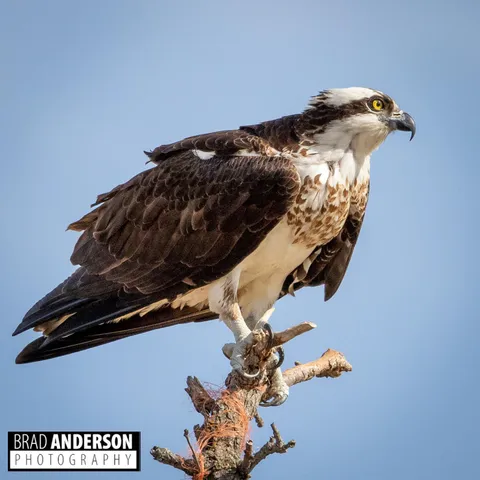 $495,000 | 30169 513th Avenue, Ottertail, MN 56571