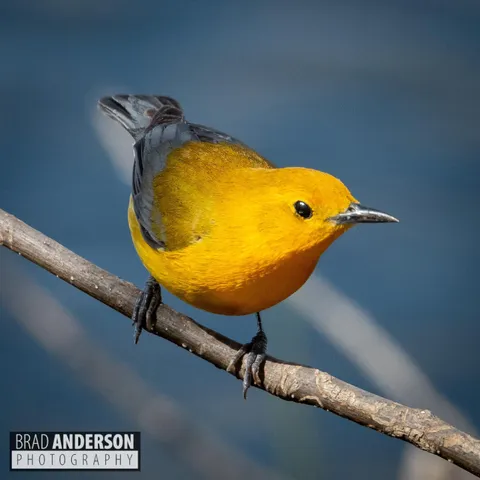 $495,000 | 30169 513th Avenue, Ottertail, MN 56571