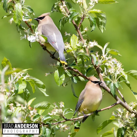 $495,000 | 30169 513th Avenue, Ottertail, MN 56571