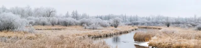 $495,000 | 30169 513th Avenue, Ottertail, MN 56571