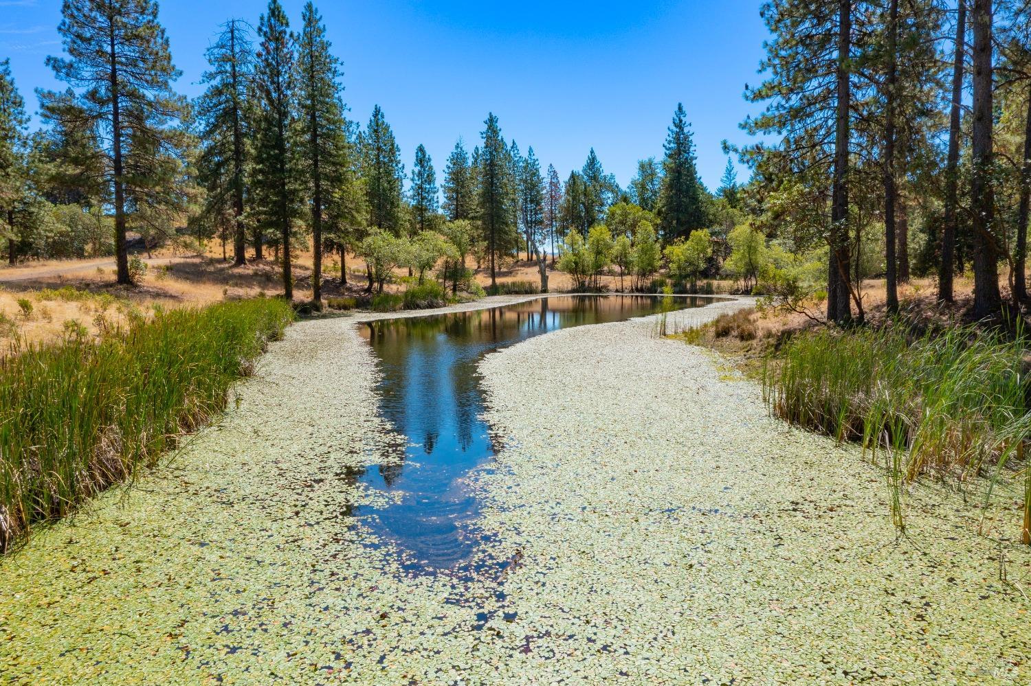 58380 Highway 162 Dos Rios, CA 95429 - Photo 43 of 62