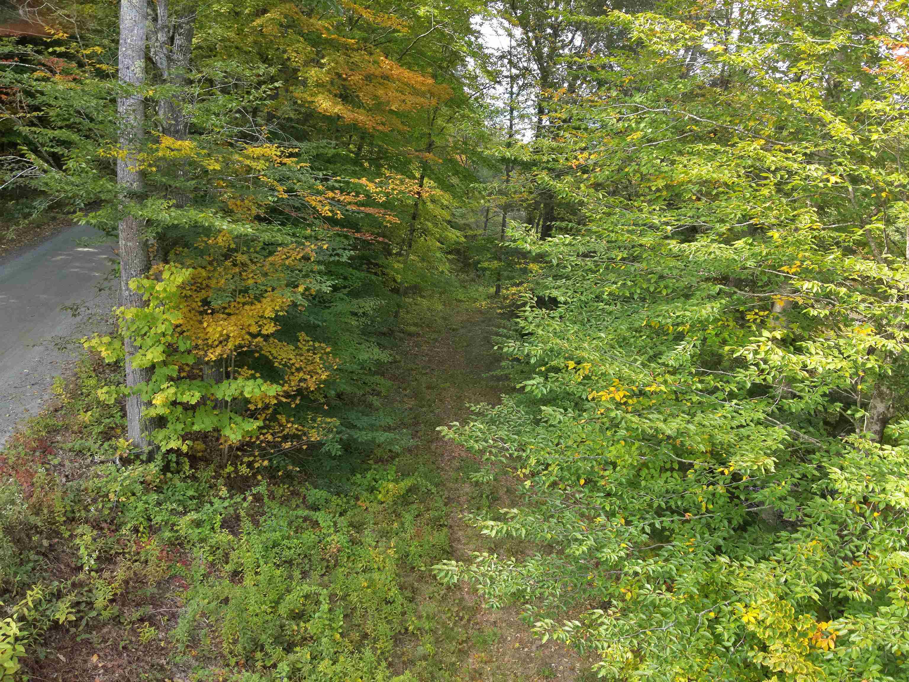 1297 River Road Jamaica, VT 05343 - Photo 18 of 22