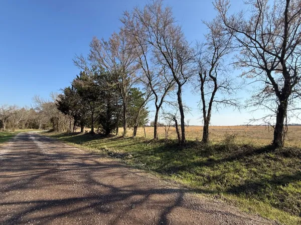 a view of dirt yard with a tree