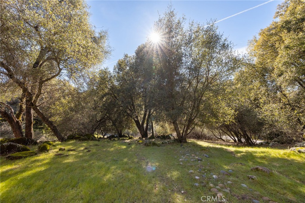 39301 Moonray Lane Oakhurst, CA 93644 - Photo 44 of 55 a view of a tree in a yard