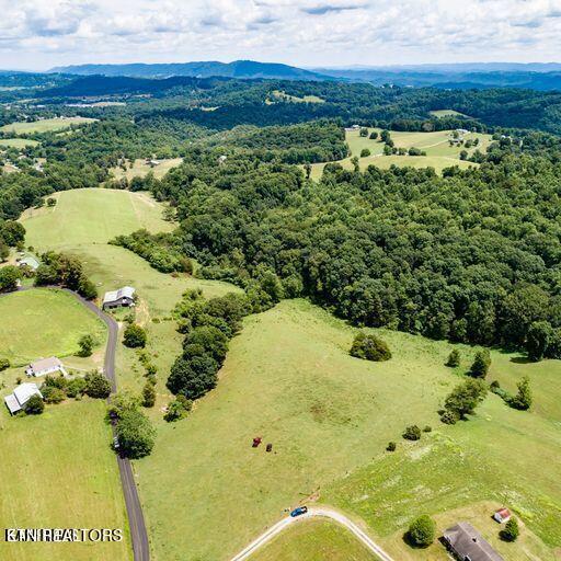 Parcel # 2 Parcel Road New Tazewell, TN 37825 - Photo 5 of 9 4
