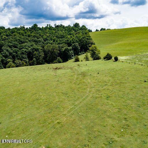 Parcel # 2 Parcel Road New Tazewell, TN 37825 - Photo 8 of 9 7