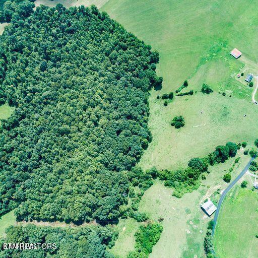 Parcel # 2 Parcel Road New Tazewell, TN 37825 - Photo 9 of 9 9