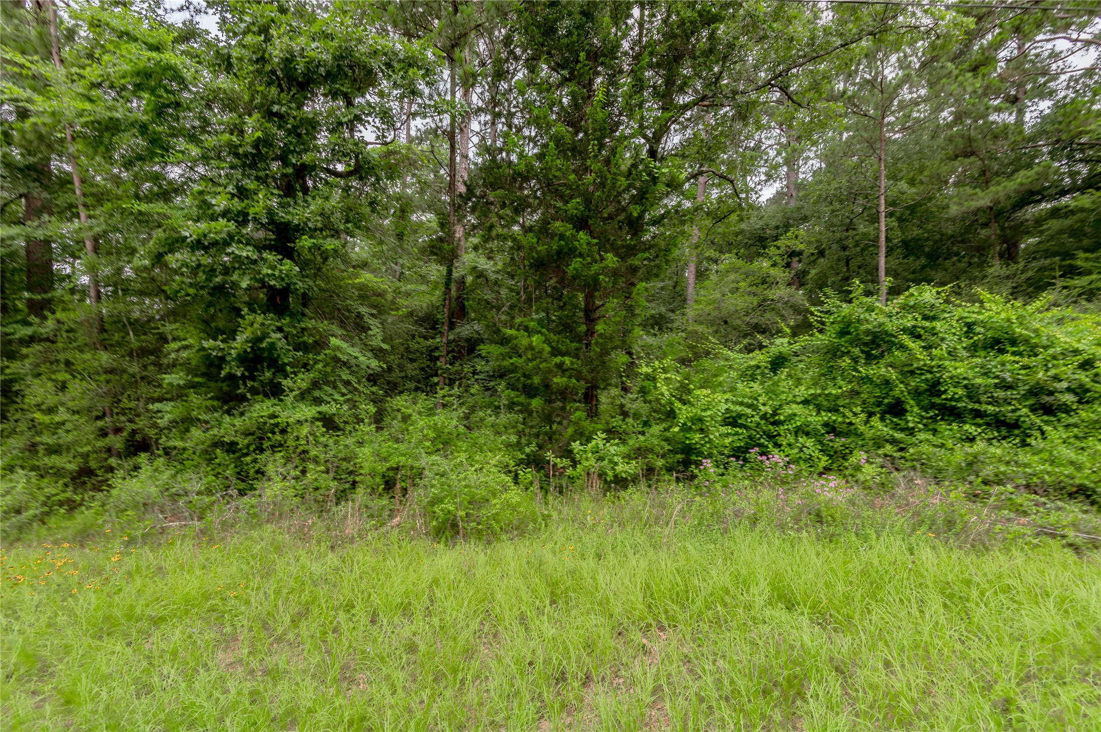 Lot 55 Post Oak Circle Trinity, TX 75862 - Photo 10 of 31