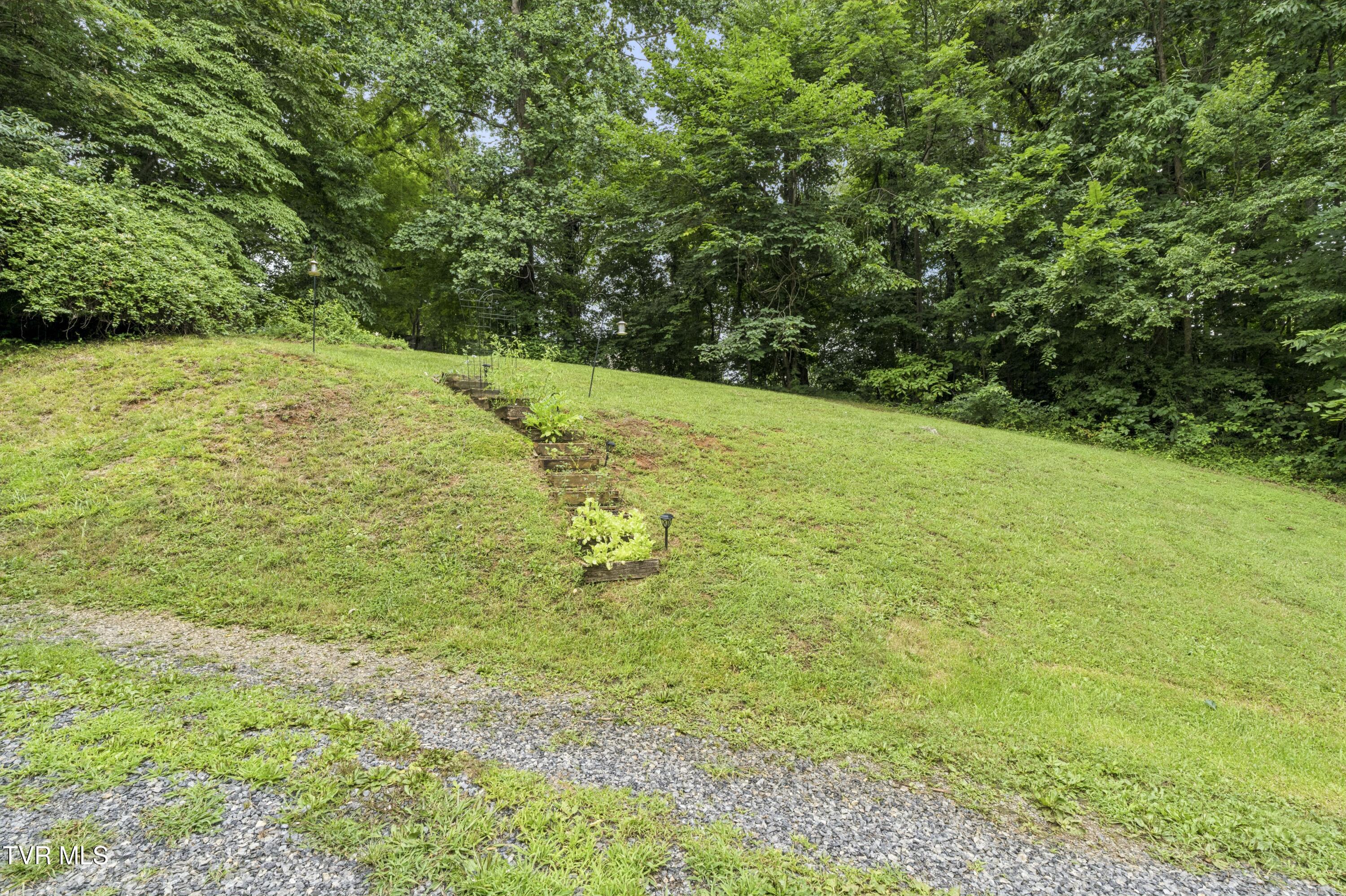 130 Valley Road Telford, TN 37690 - Photo 46 of 65 Valley-45