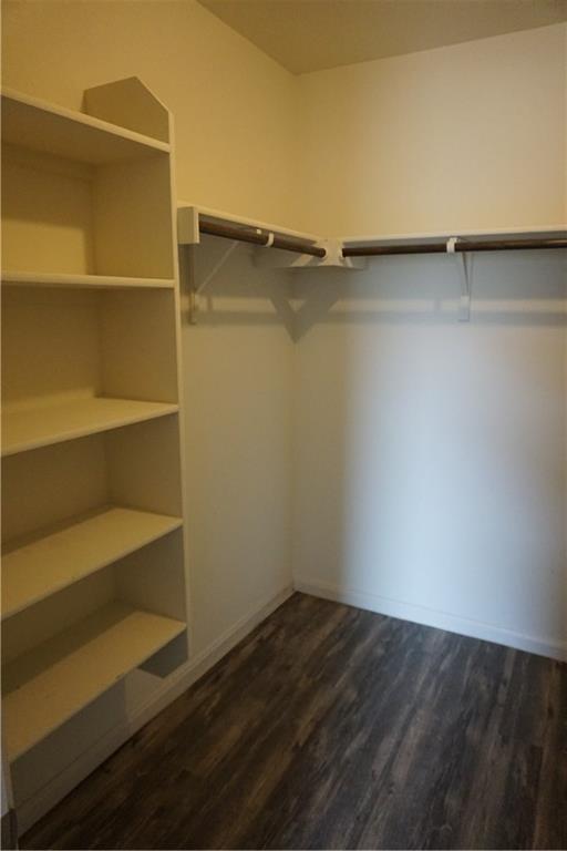 351 Musgrav Kyle, TX 78640 - Photo 9 of 21 a view of a room with shelf on the wall