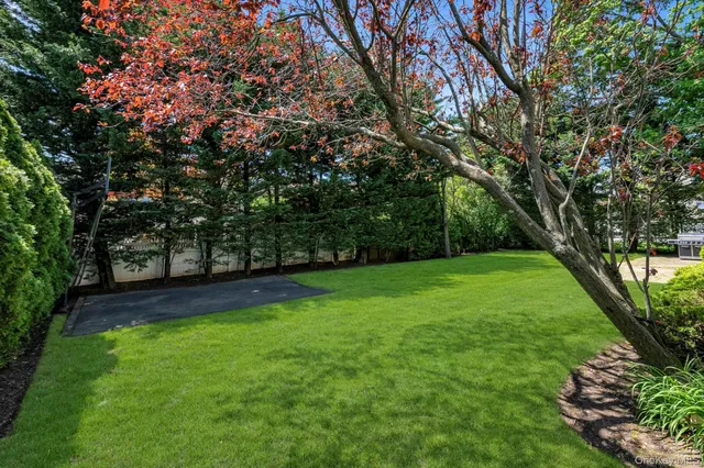 a view of yard with trees in the background