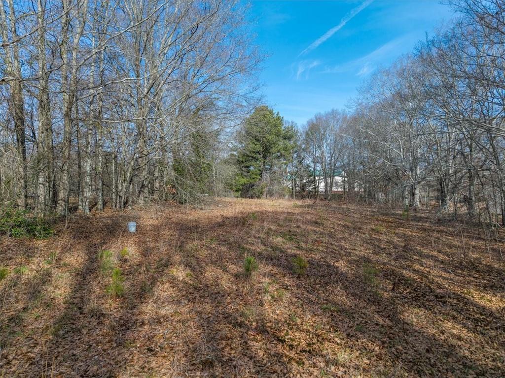 4100 Rosebud Road Loganville, GA 30052 - Photo 12 of 14