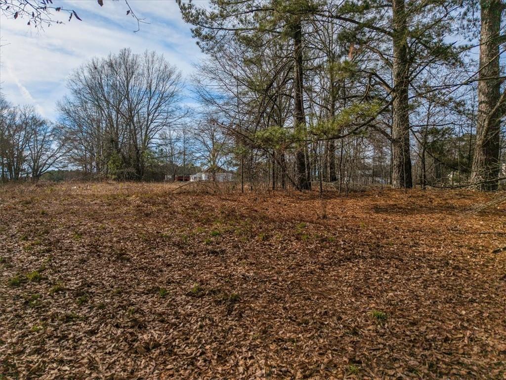 4100 Rosebud Road Loganville, GA 30052 - Photo 13 of 14