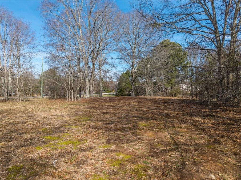 4100 Rosebud Road Loganville, GA 30052 - Photo 10 of 14