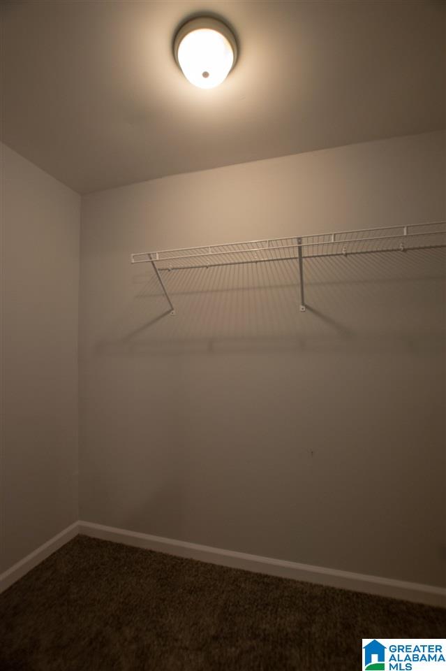 290 Birch Tree Road Hayden, AL 35079 - Photo 18 of 45