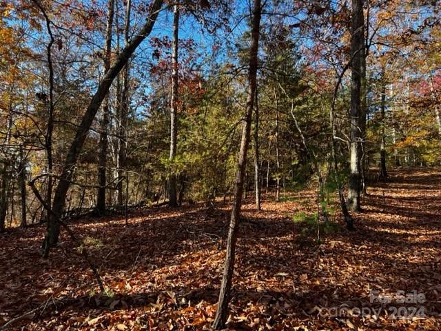 Lot 6-7 Parkway North Rd Mill Spring Mill Spring, NC 28756 - Photo 5 of 9 a view of a forest with trees