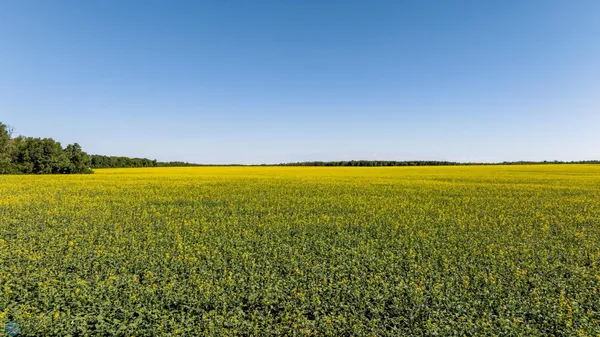 $274,295 | Tbd Lake Road, Bottineau, ND 58318