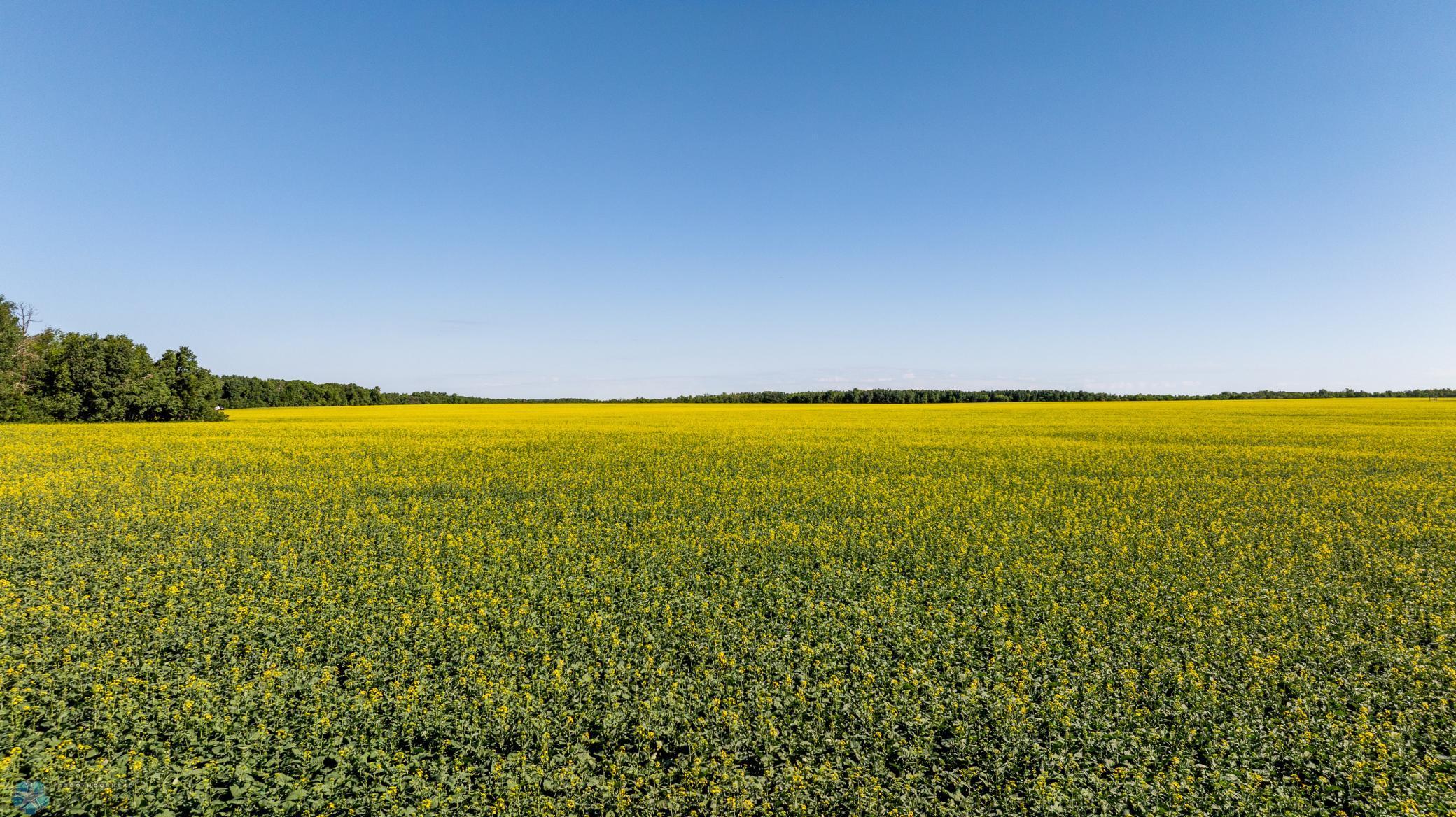 Tbd Lake Road Bottineau, ND 58318 - Photo 16 of 74