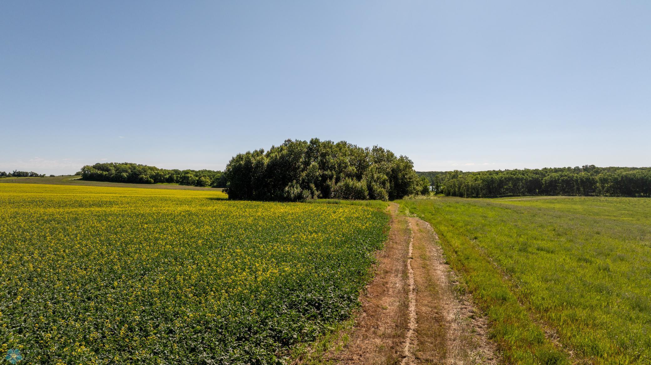 Tbd Lake Road Bottineau, ND 58318 - Photo 17 of 74