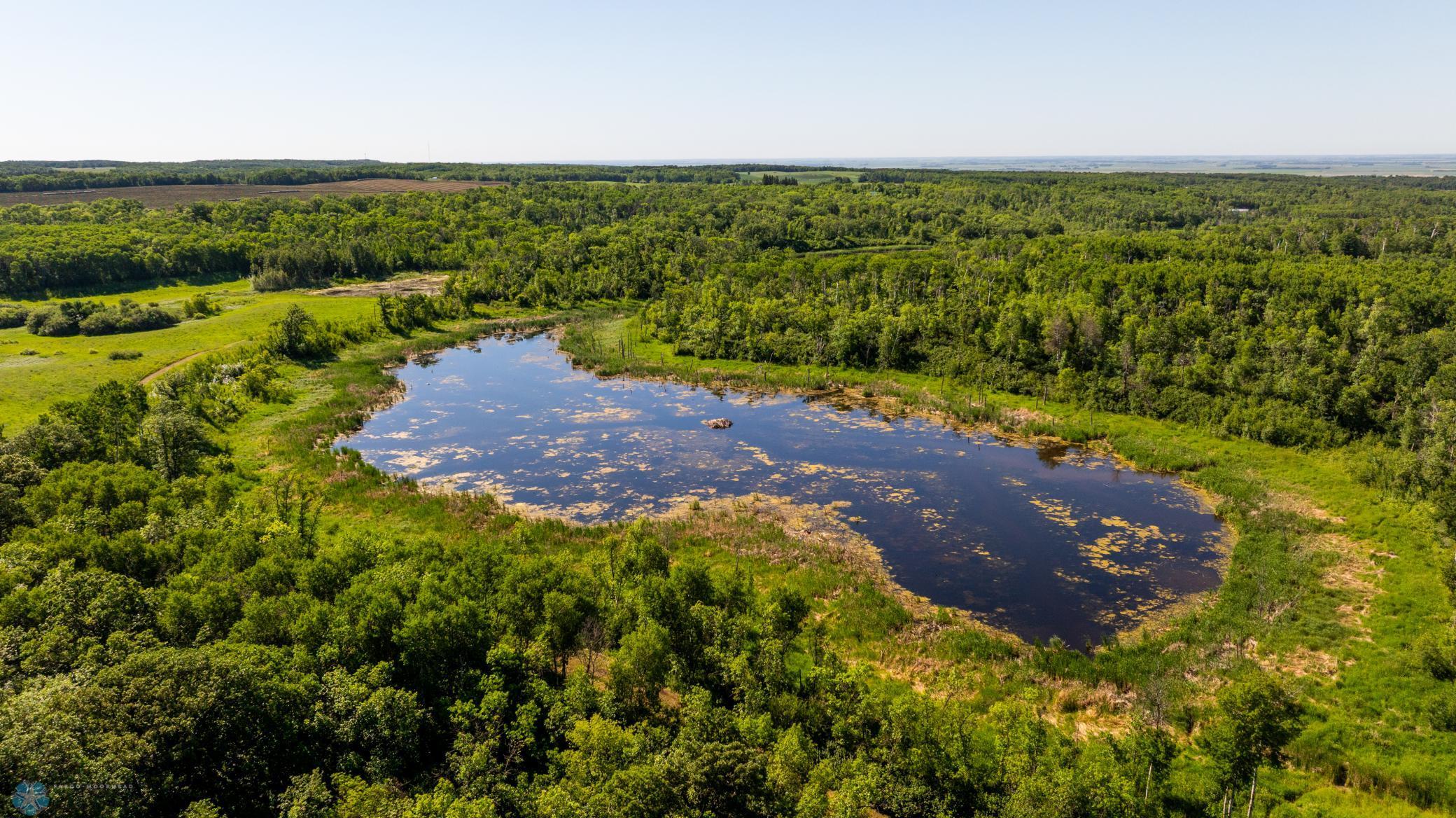 Tbd Lake Road Bottineau, ND 58318 - Photo 20 of 74