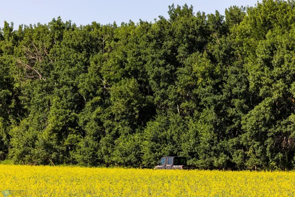 $274,295 | Tbd Lake Road, Bottineau, ND 58318
