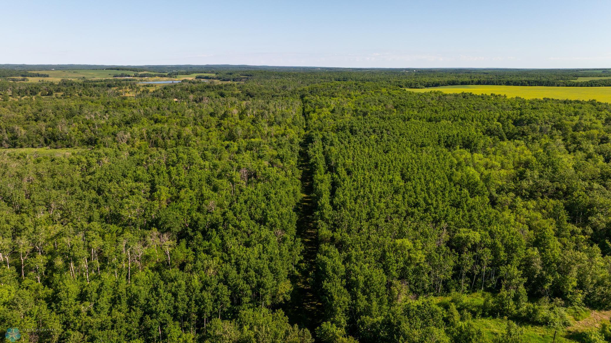 Tbd Lake Road Bottineau, ND 58318 - Photo 21 of 74
