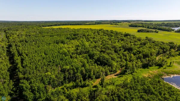 $274,295 | Tbd Lake Road, Bottineau, ND 58318