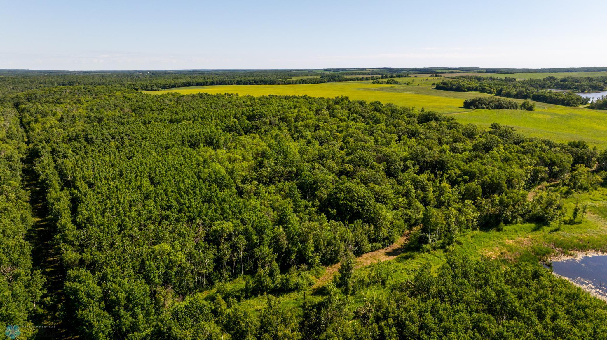 Tbd Lake Road Bottineau, ND 58318 - Photo 22 of 74