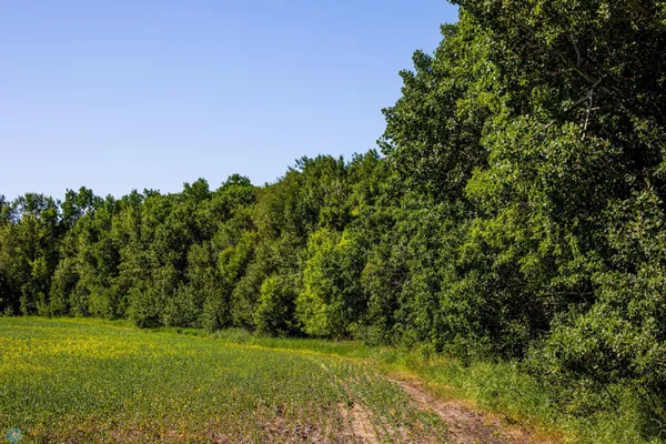 $274,295 | Tbd Lake Road, Bottineau, ND 58318