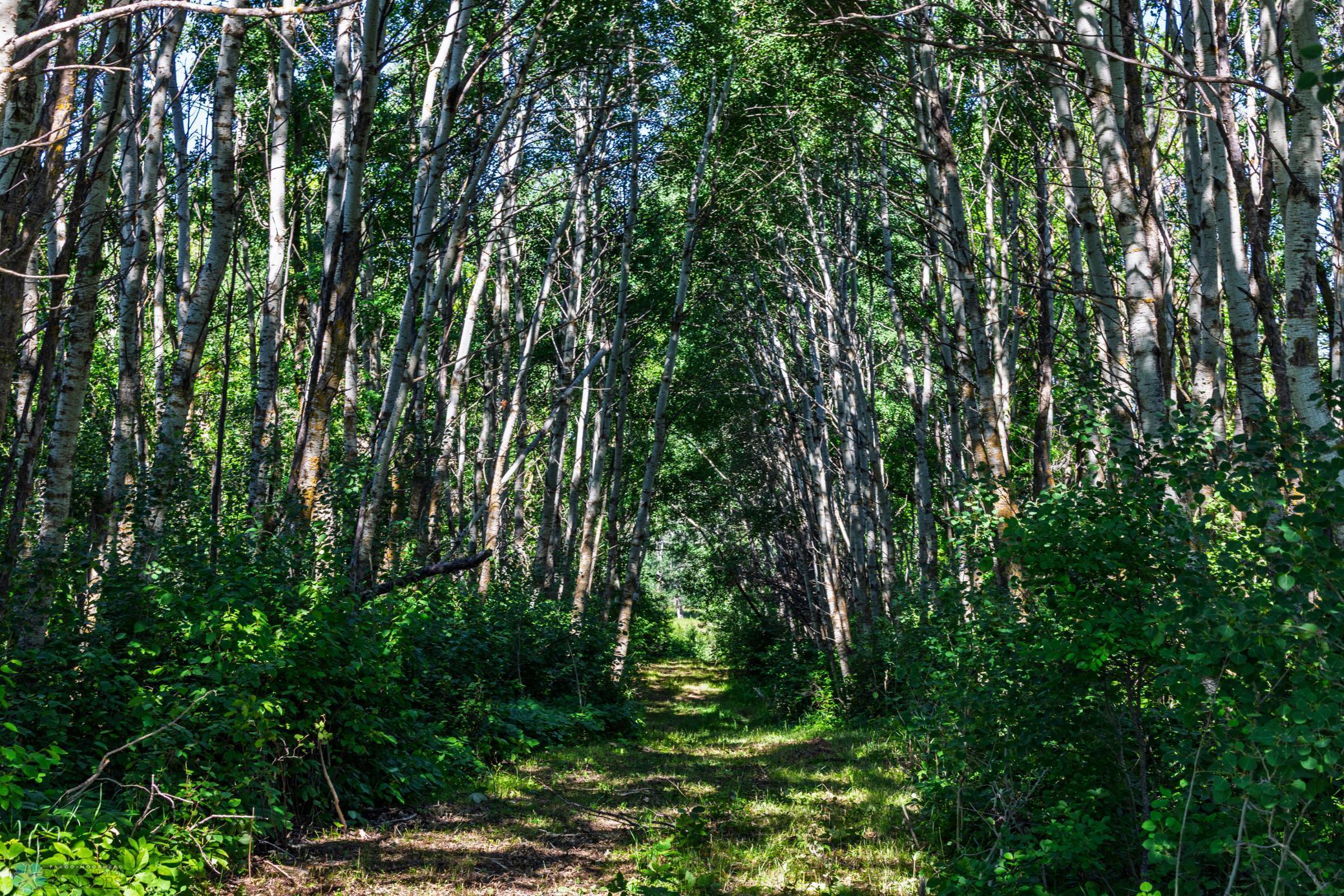 Tbd Lake Road Bottineau, ND 58318 - Photo 26 of 74