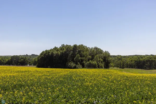 $274,295 | Tbd Lake Road, Bottineau, ND 58318