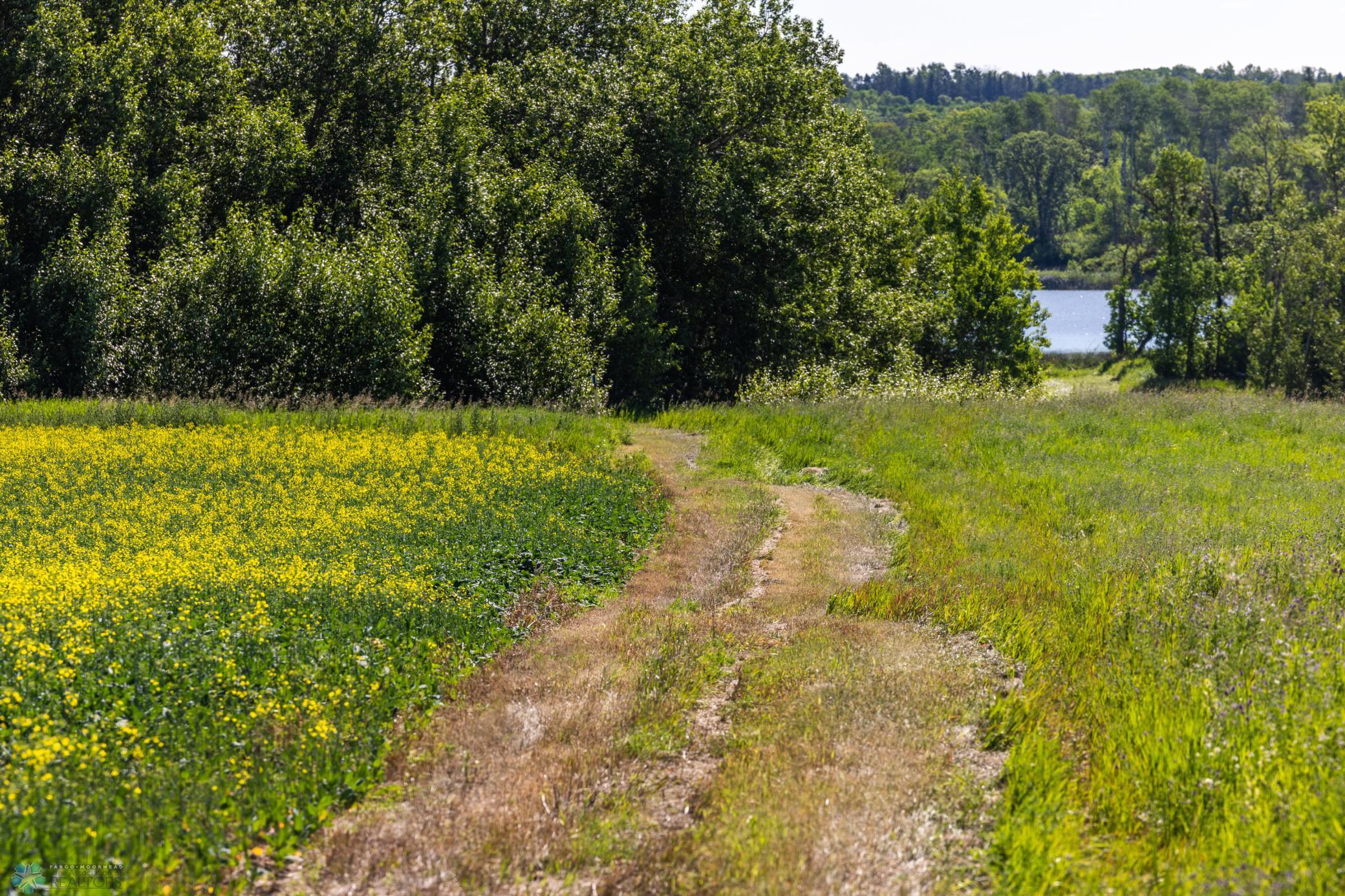 Tbd Lake Road Bottineau, ND 58318 - Photo 29 of 74