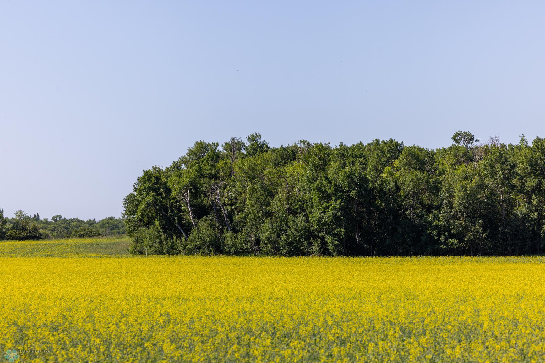 Tbd Lake Road Bottineau, ND 58318 - Photo 3 of 74