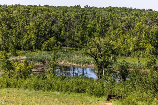 $274,295 | Tbd Lake Road, Bottineau, ND 58318