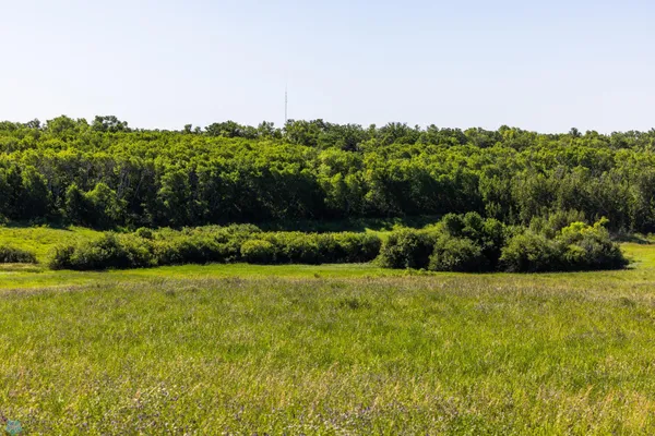 $274,295 | Tbd Lake Road, Bottineau, ND 58318