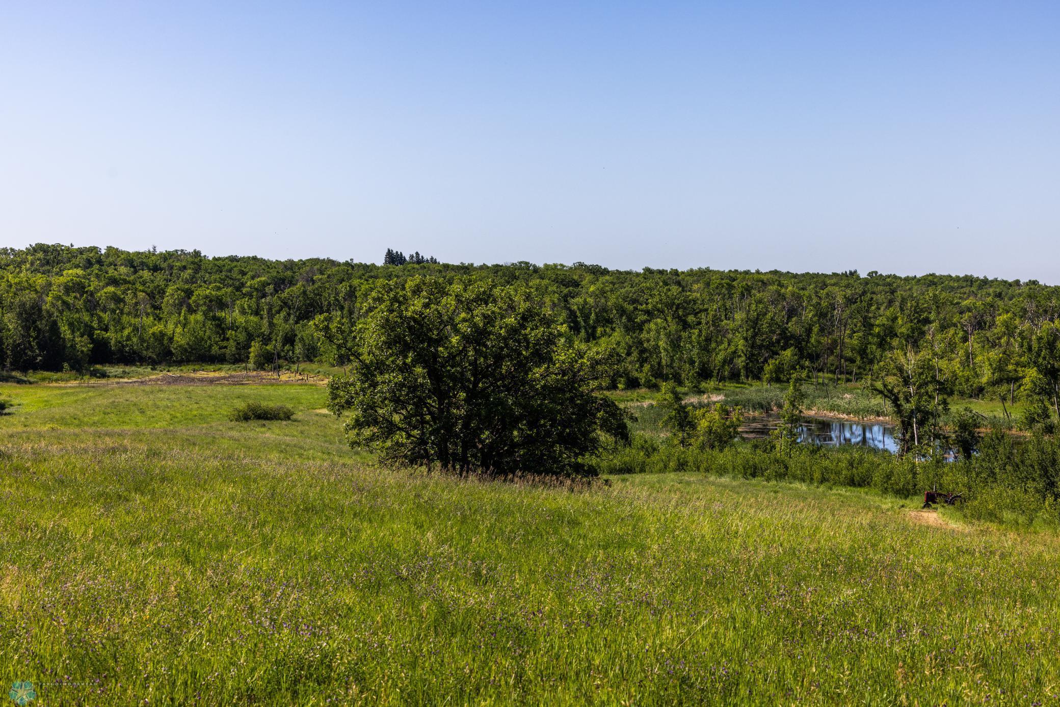 Tbd Lake Road Bottineau, ND 58318 - Photo 33 of 74