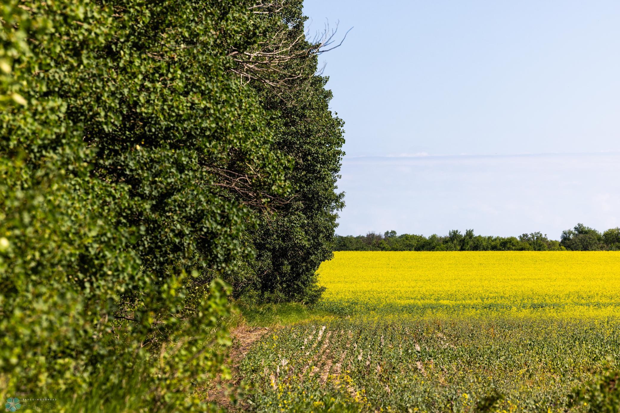 Tbd Lake Road Bottineau, ND 58318 - Photo 36 of 74