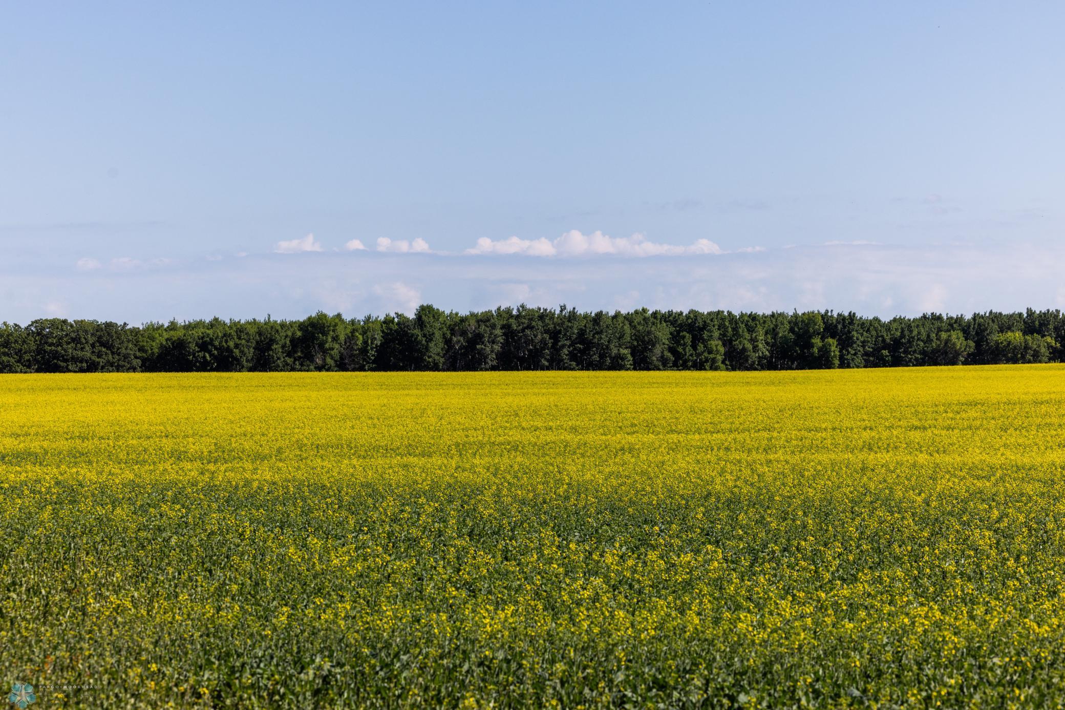 Tbd Lake Road Bottineau, ND 58318 - Photo 37 of 74