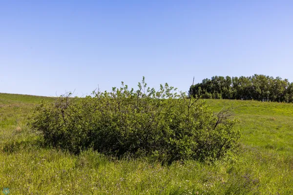 $274,295 | Tbd Lake Road, Bottineau, ND 58318