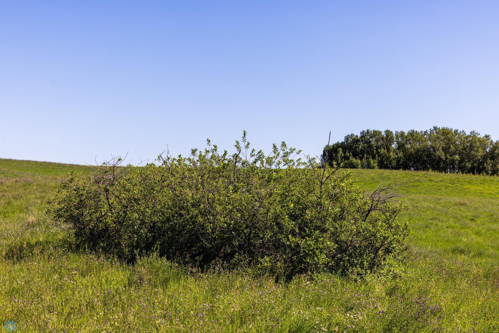 Tbd Lake Road Bottineau, ND 58318 - Photo 38 of 74
