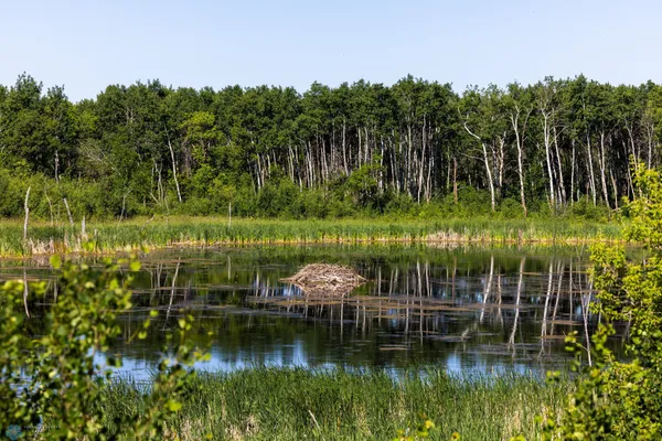 $274,295 | Tbd Lake Road, Bottineau, ND 58318