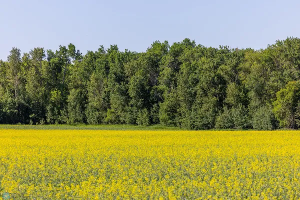 $274,295 | Tbd Lake Road, Bottineau, ND 58318