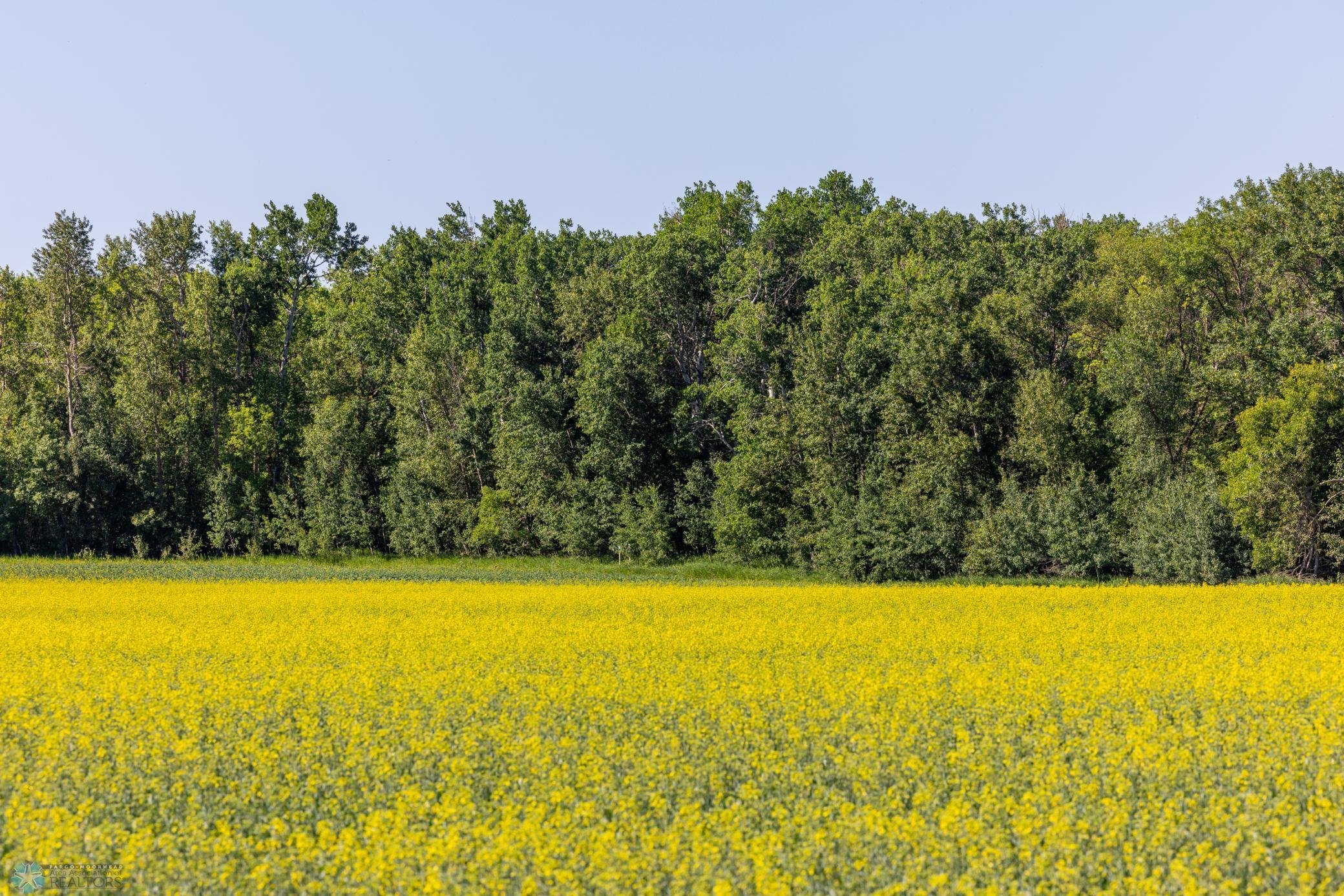 Tbd Lake Road Bottineau, ND 58318 - Photo 4 of 74