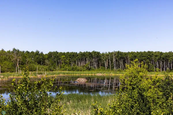 $274,295 | Tbd Lake Road, Bottineau, ND 58318