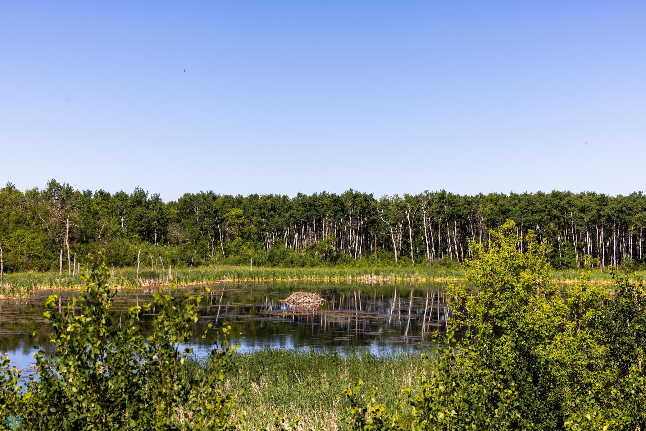 Tbd Lake Road Bottineau, ND 58318 - Photo 41 of 74