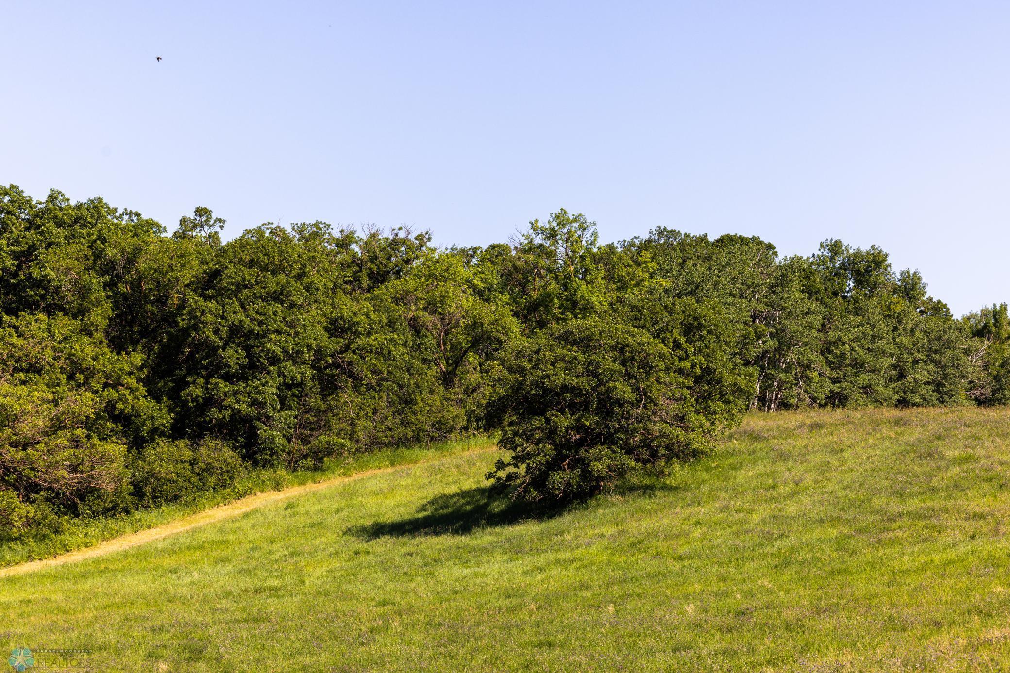 Tbd Lake Road Bottineau, ND 58318 - Photo 42 of 74
