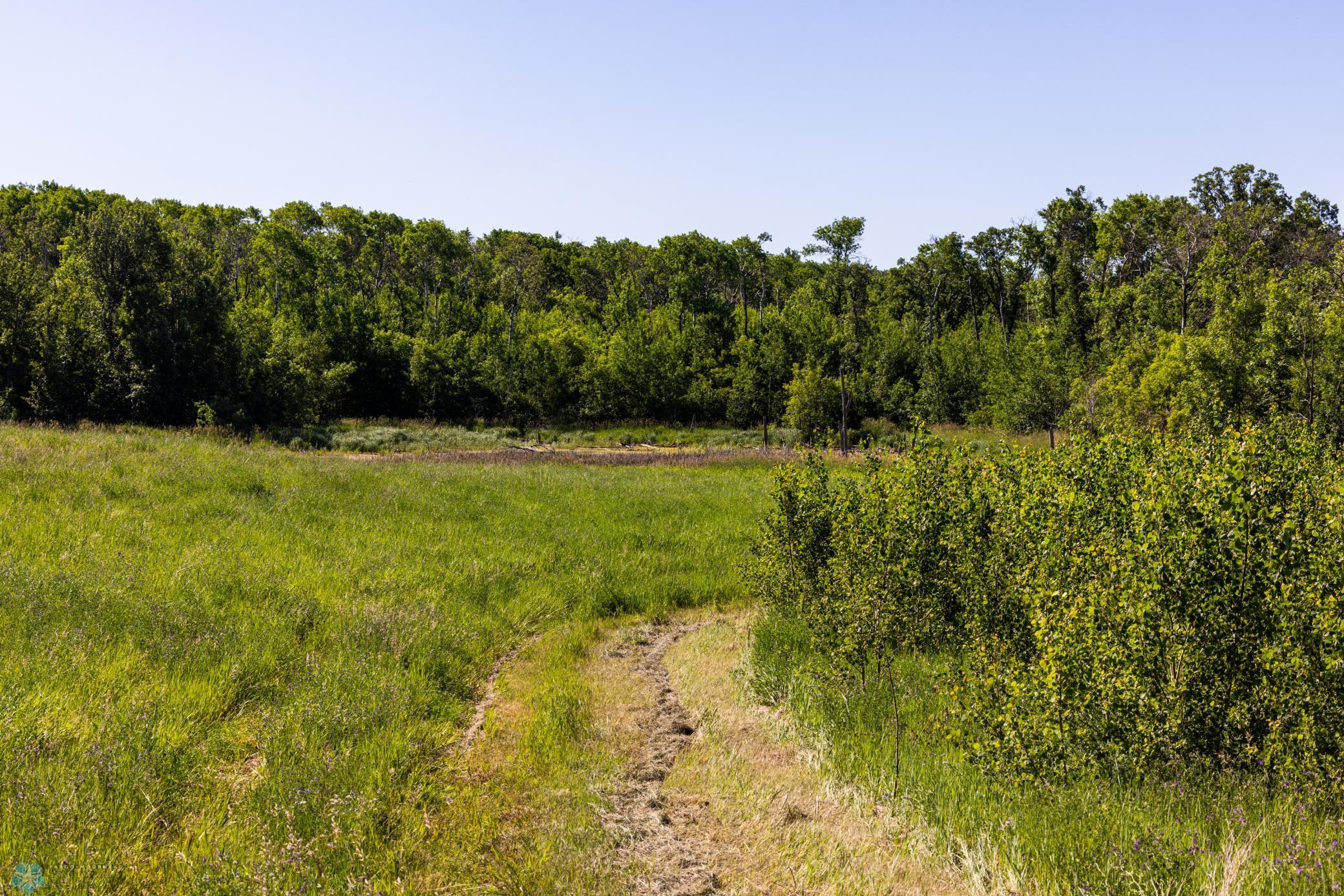 Tbd Lake Road Bottineau, ND 58318 - Photo 43 of 74