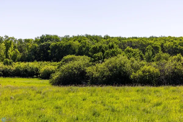 $274,295 | Tbd Lake Road, Bottineau, ND 58318