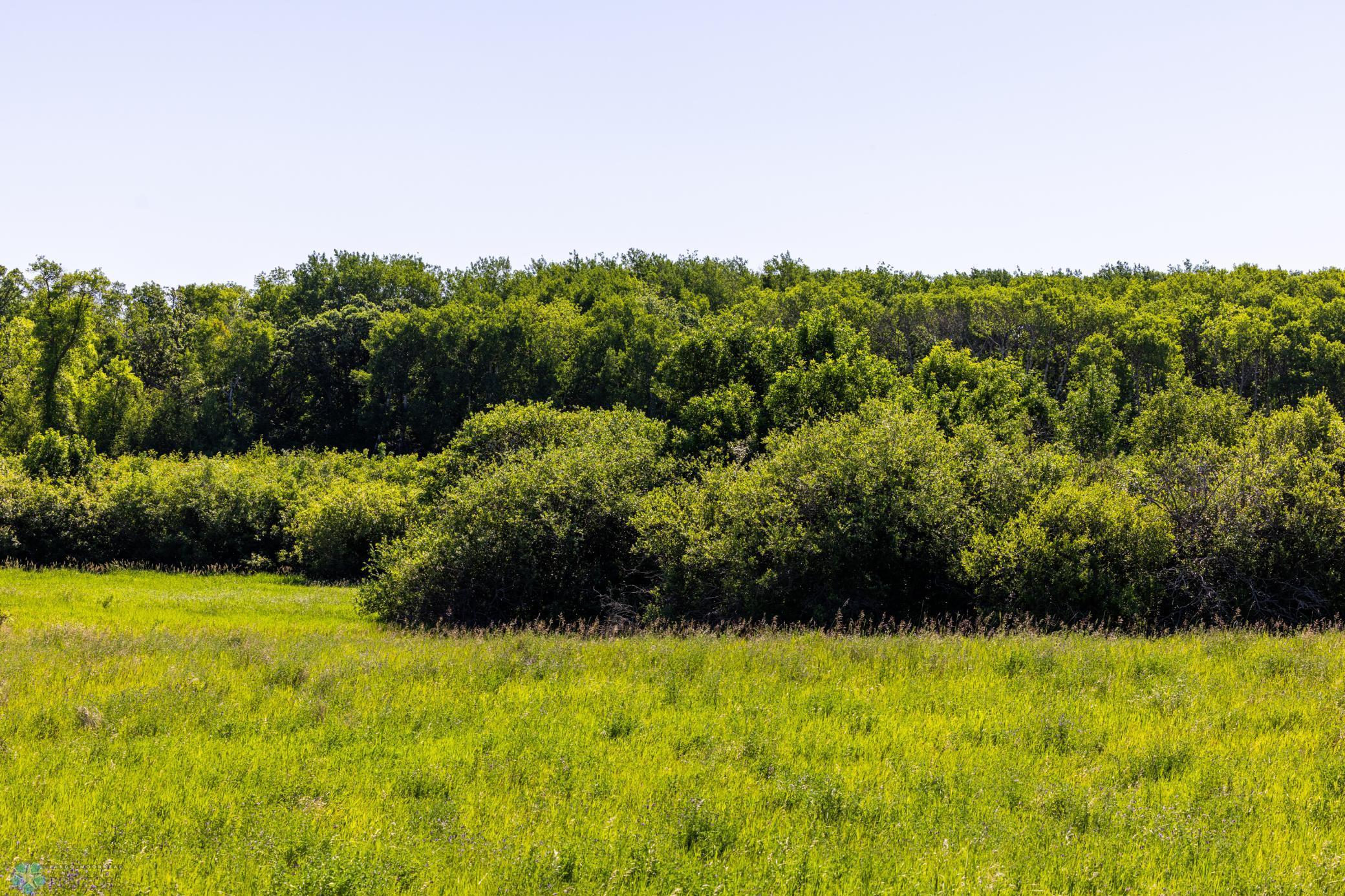 Tbd Lake Road Bottineau, ND 58318 - Photo 44 of 74