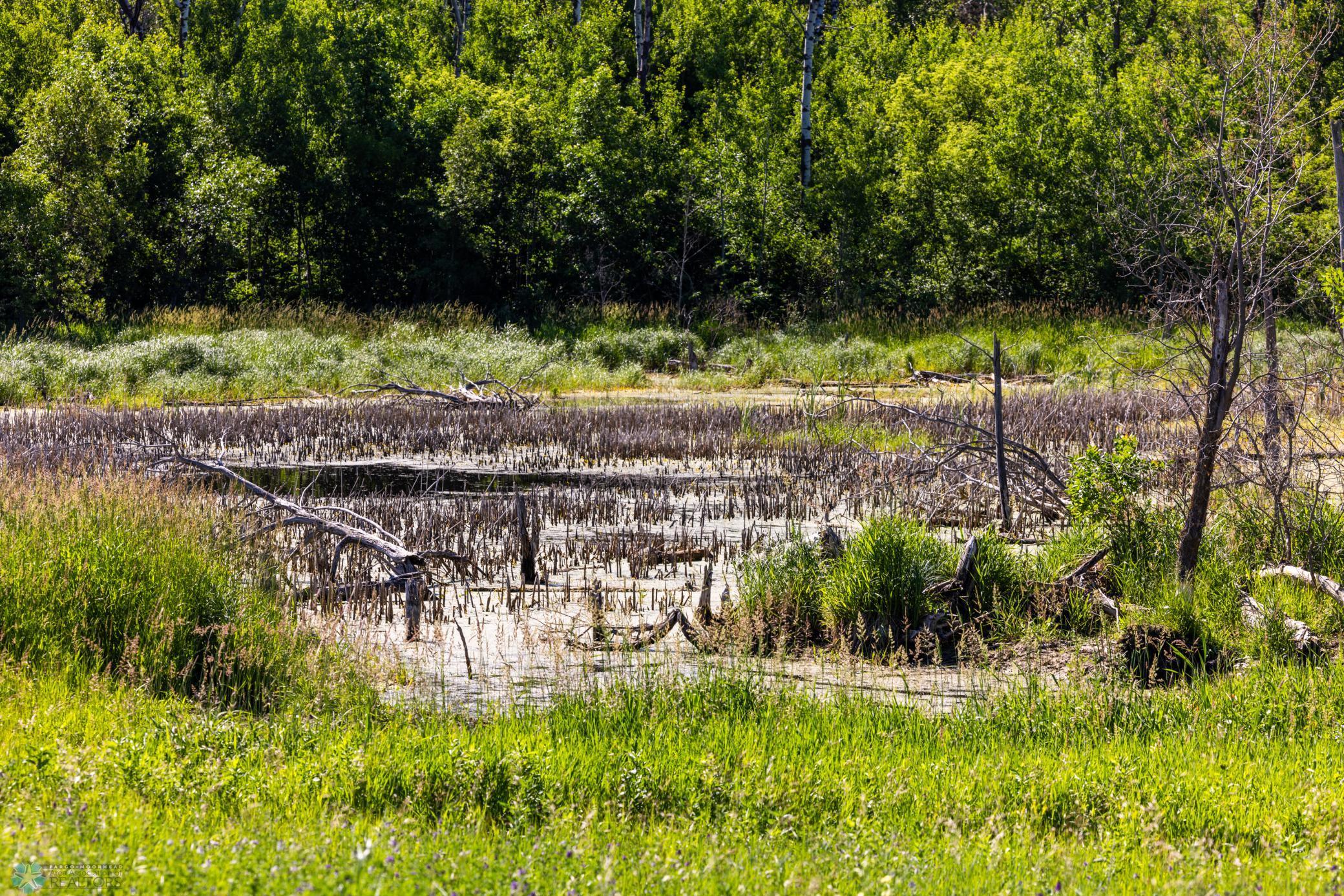 Tbd Lake Road Bottineau, ND 58318 - Photo 45 of 74
